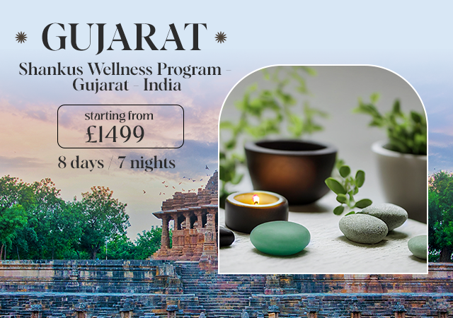 Citibond Wellness Packages